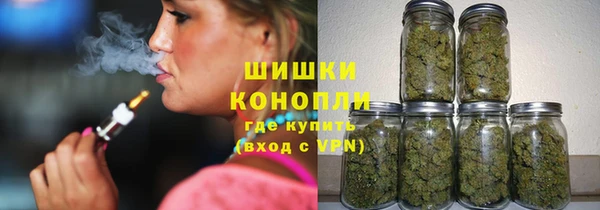 соль ск Козельск