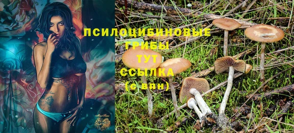 сатива Киреевск
