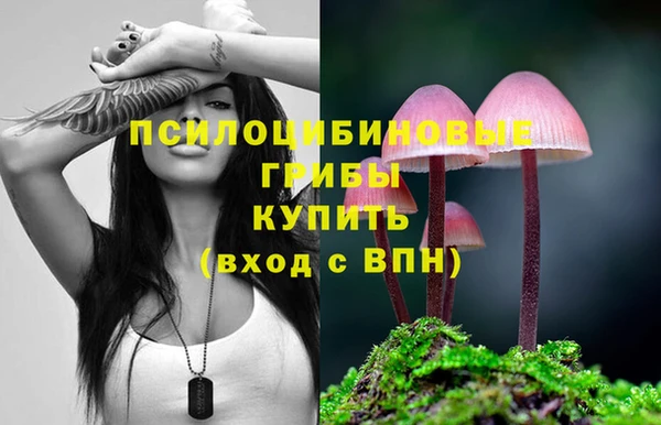 стафф Киренск
